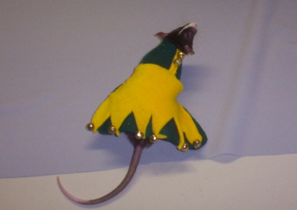 Little Mac the Jester